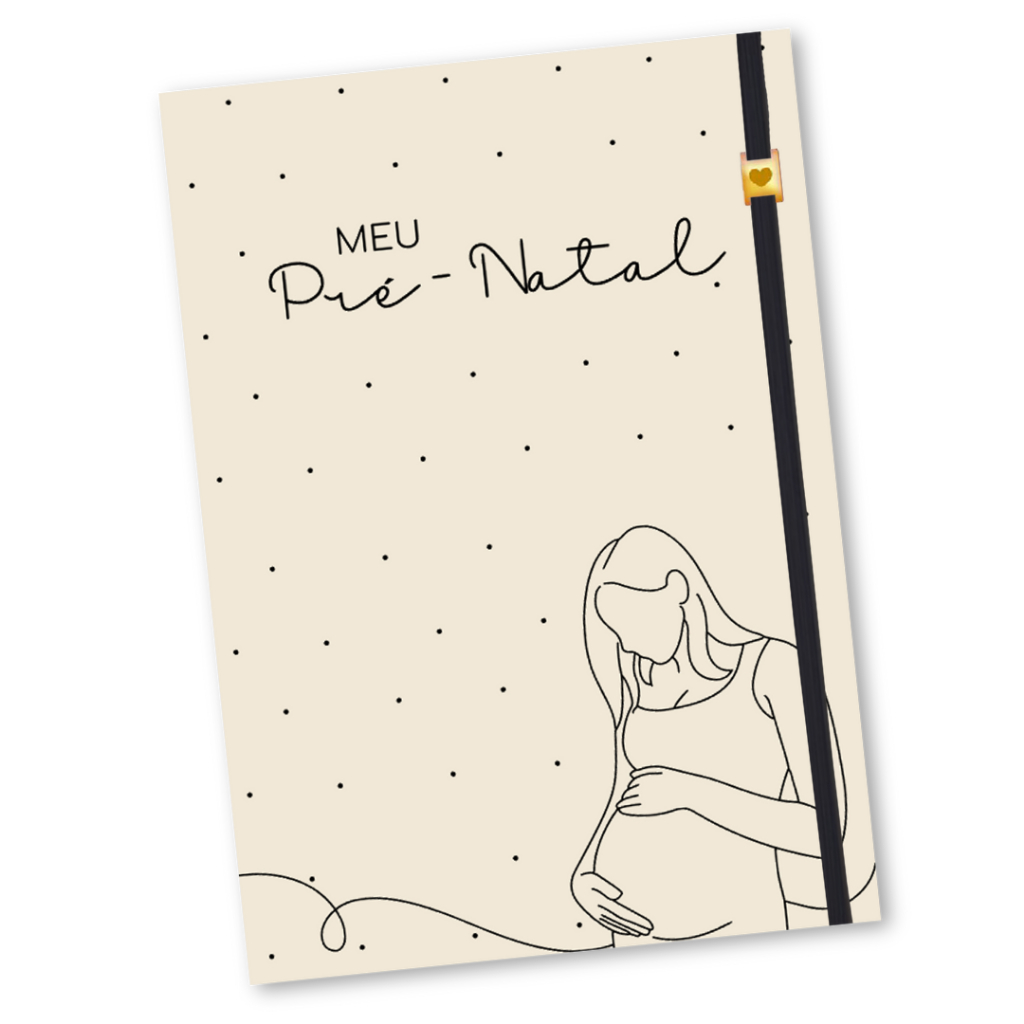 Pasta Catálogo Gestante Personalizada Meu Pré Natal Porta Documentos