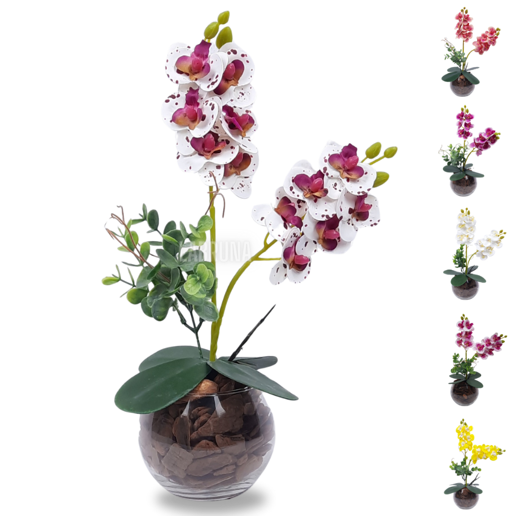 Arranjo Completo de Mini Orquidea com Vaso e Cascas de Pinus Natural