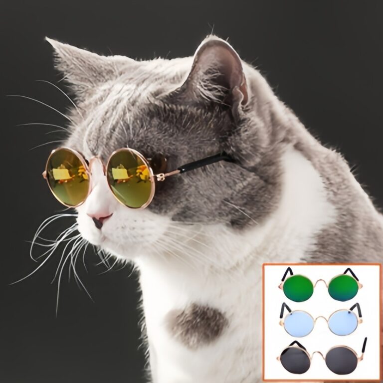 Óculos Pet Cachorro Gato Diversas Cores Óculos P