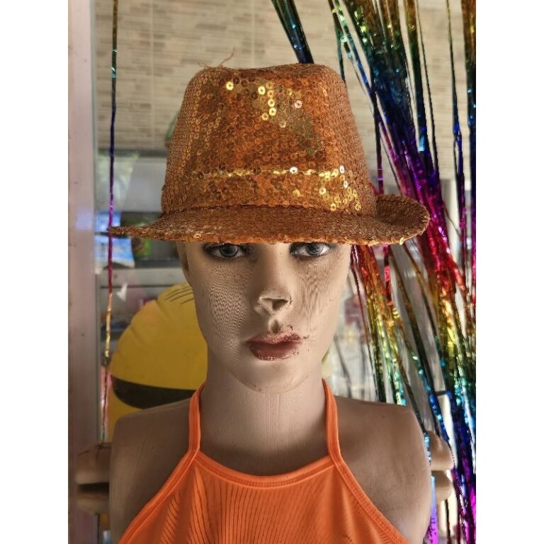 chapeu Carnaval festas aniversário paete dourado