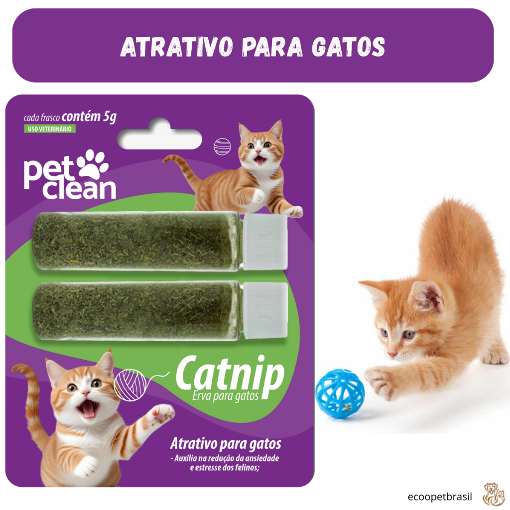 Atrativo para Gatos Gatinhos Erva Catnip Pet Clean