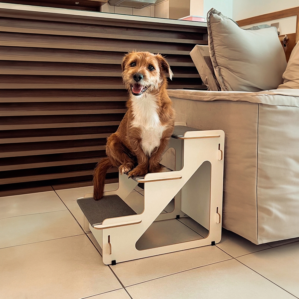 Escada Rampa Pet Modelo Madrid