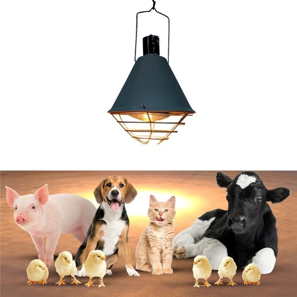Campânula Cone para Aquecimento d Animais Filhote
