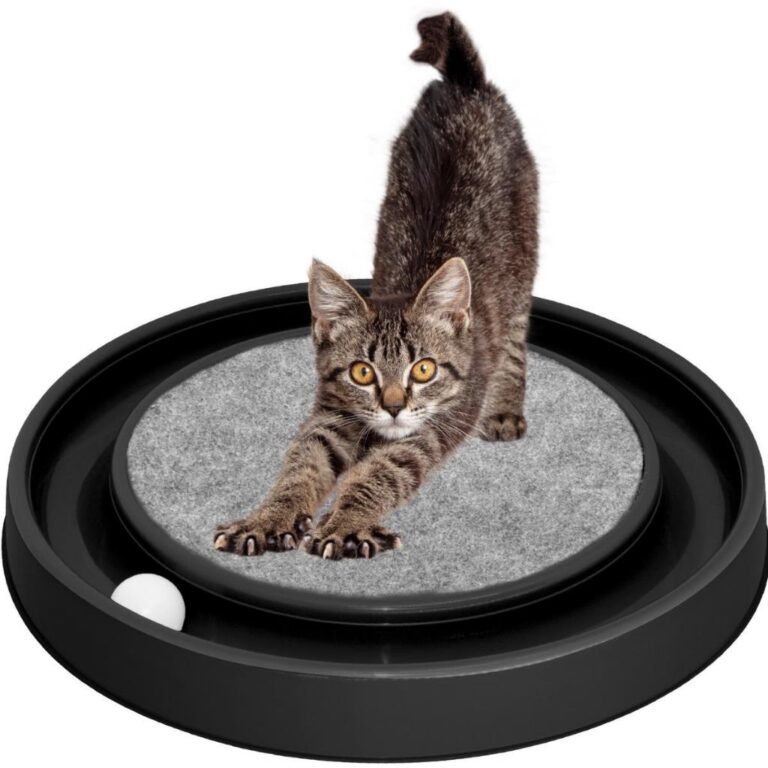 Arranhador Redondo Para Gato Relax Com Bolinha Mia