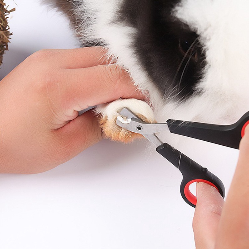 2 Maquina Para Tosar Tesoura De Unhas Inox Profissional  Para Cachorros Pets Promoção