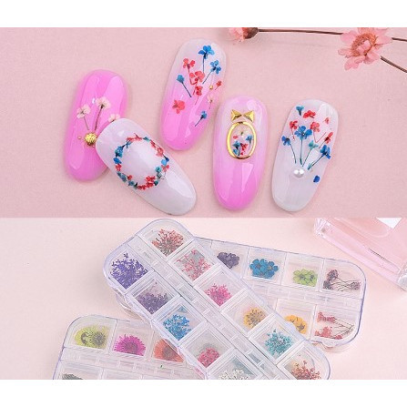 Flor Seca Estrela Para Decoração De Unhas 3d Enc