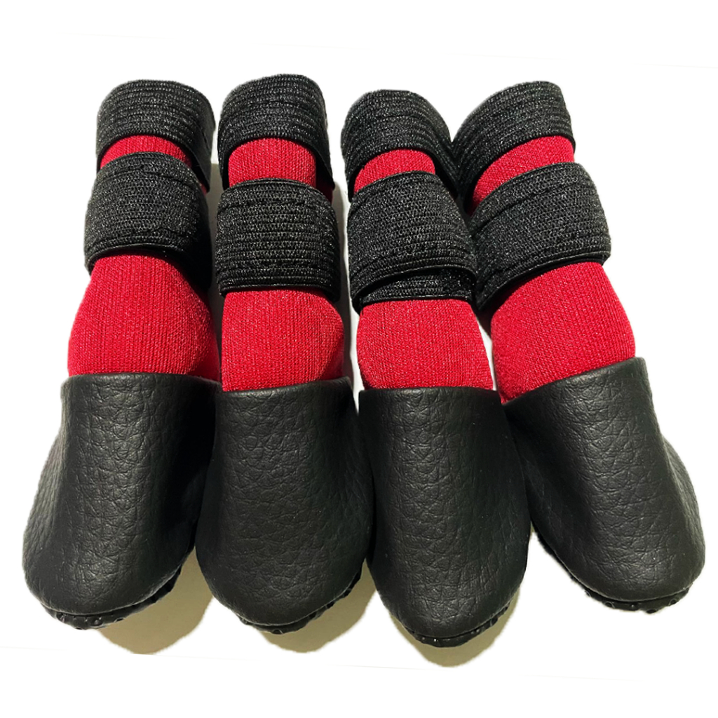 Sapatinho PP – botinha caes