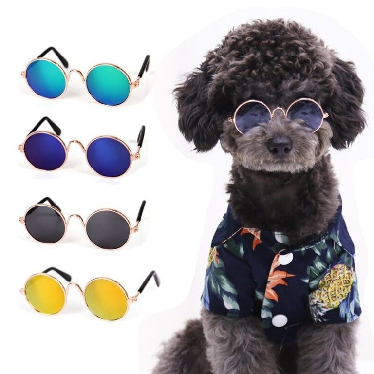Óculos Pet Cachorro Gato Diversas Cores Óculos P