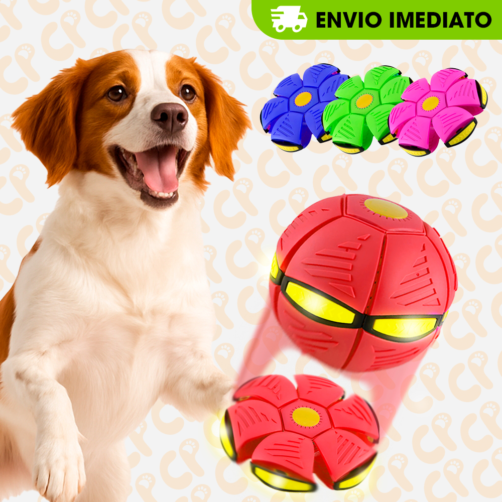 Brinquedo Bola Mágica com LED para Cães e Gatos