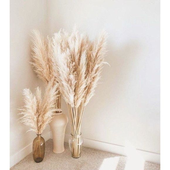 Kit com 10 Plumas Natural / Capim dos Pampas