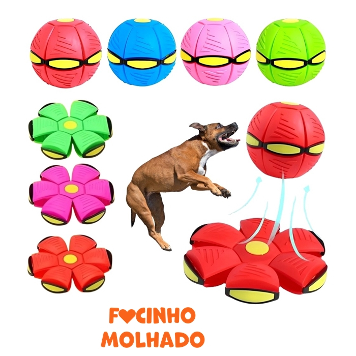 Brinquedo Pet Bola Mágica com LED Pet Ball Transf