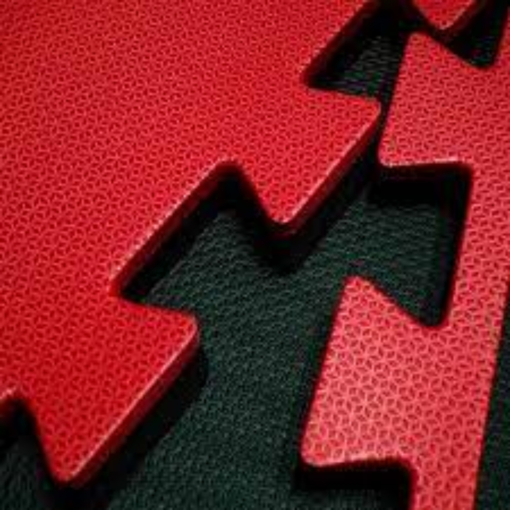 Tatame Bicolor 1M X1M 30mm Academia Esporte Artes Marciais Anti Impacto Jiu Box Revestimento