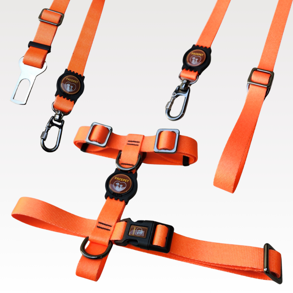 Kit Peitoral H Coleira Para Cachorro Antipuxão Cinto Segurança com guia mosquetão de trava e rosca