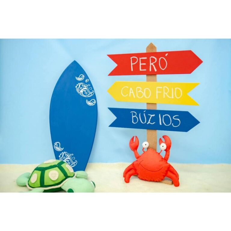 props prancha e plaquinhas ensaio de verão acompa