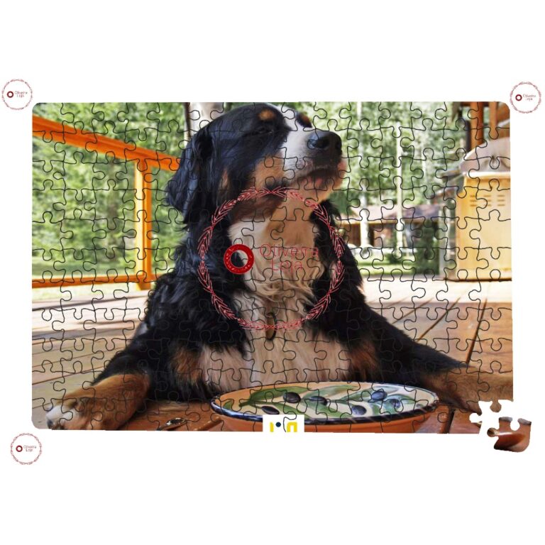 Quebra Cabeça Personalizado com Foto Presente Ani