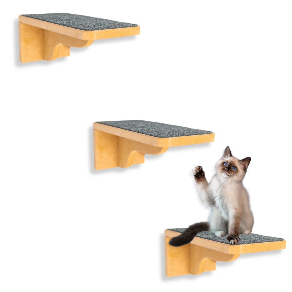 Playground para Gatos REFORÇADO MDF 15mm SEGURO Prateleiras para Gato 3pçs Parque Gato MONTADO