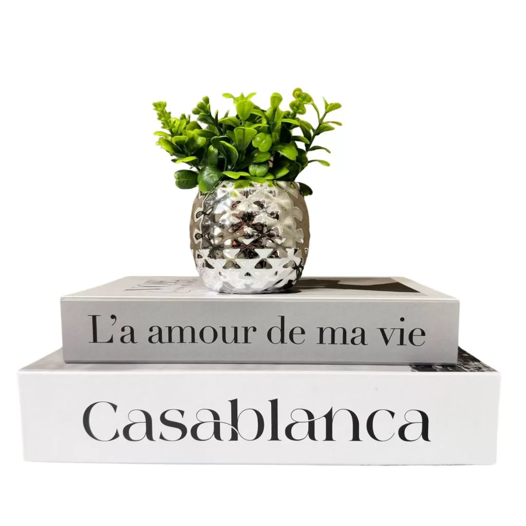 Kit livro caixa porta objetos joia documentos organização vaso cachepô prata prateado pequeno planta
