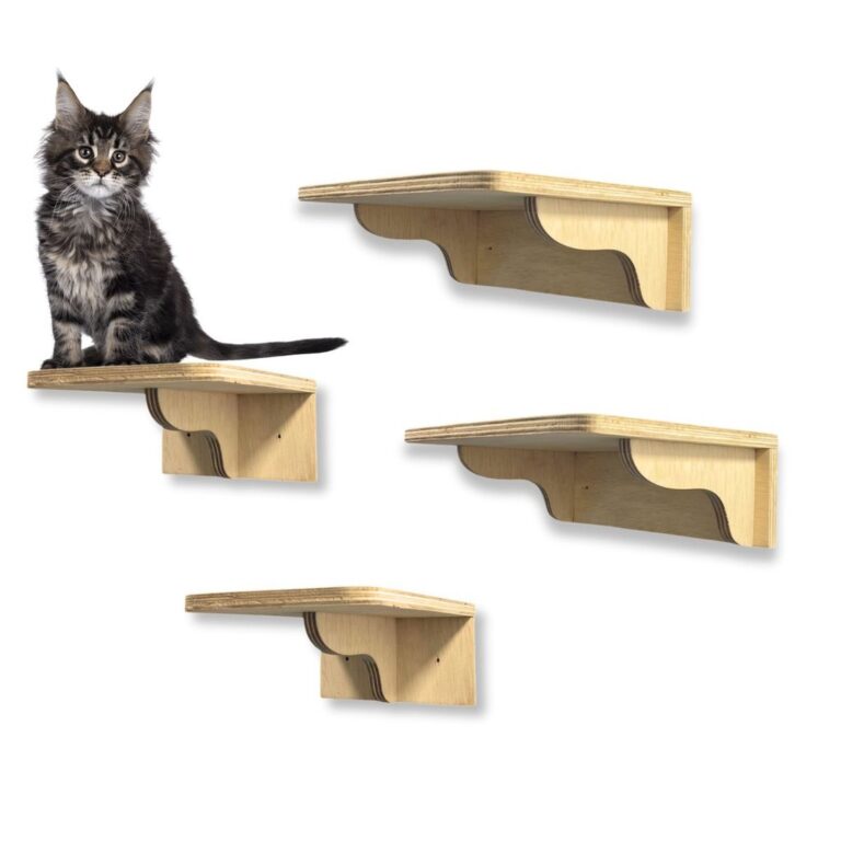 Playground Para Gatos Degraus 2M e 2G Área Extern