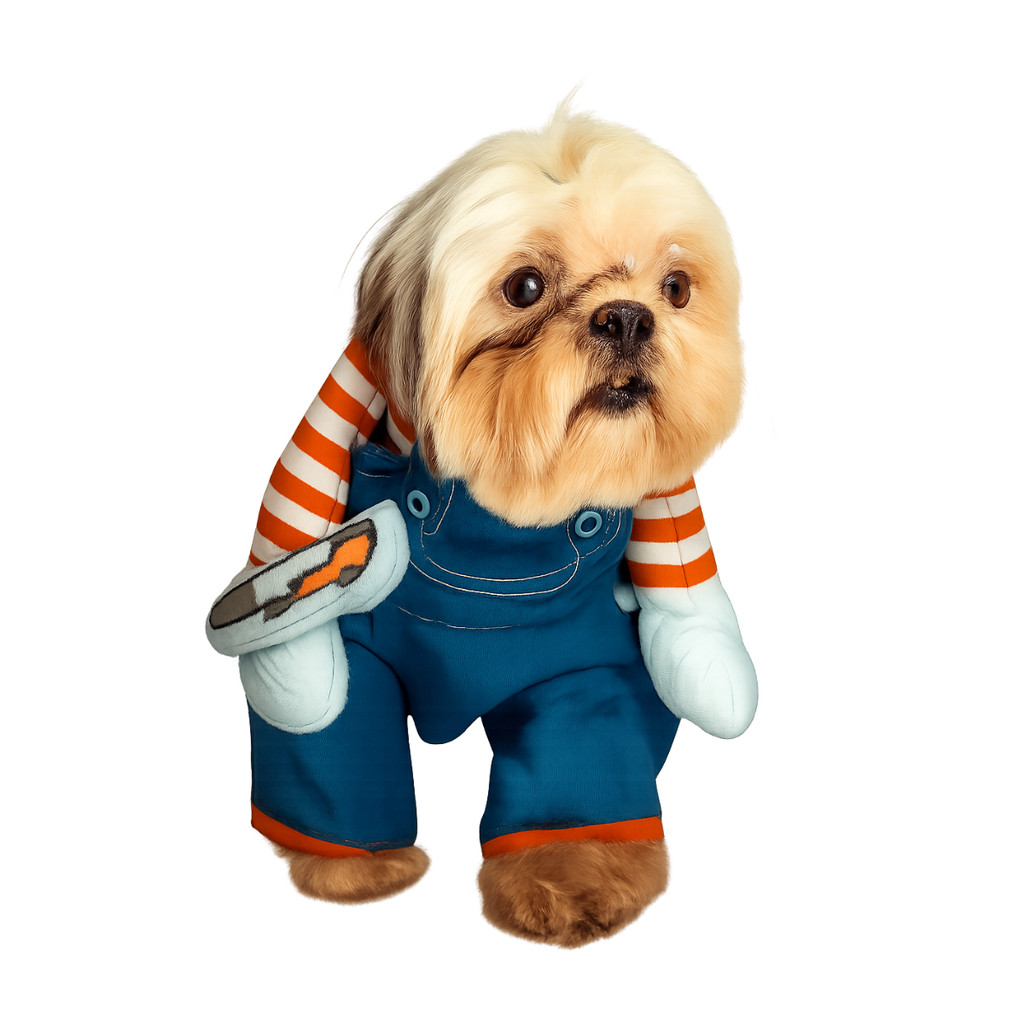 Roupinha Pet Fantasia Chuck – Mascote