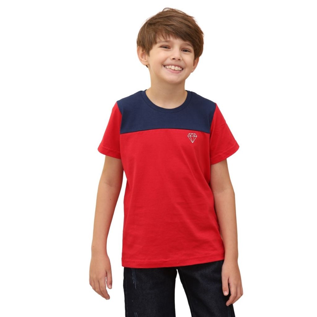Camiseta Infantil Infanto Juvenil Bicolor Menino Algodão