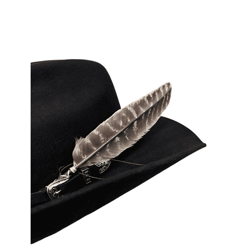 Pena para Chapéu country Malhada Premium