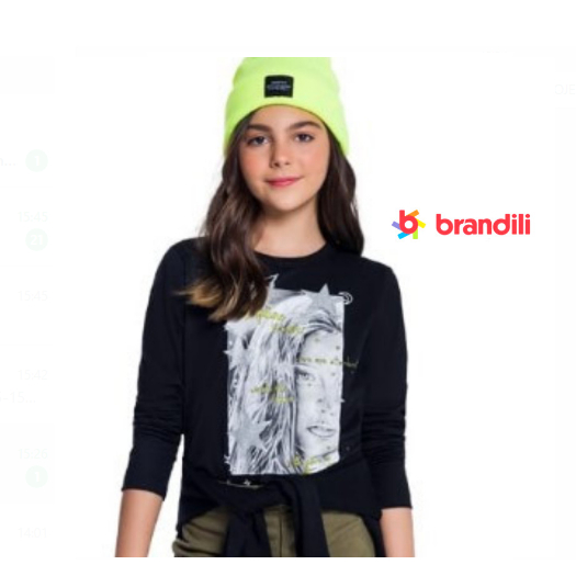 Blusa Inverno Infantil Menina 100% Algodão Young 