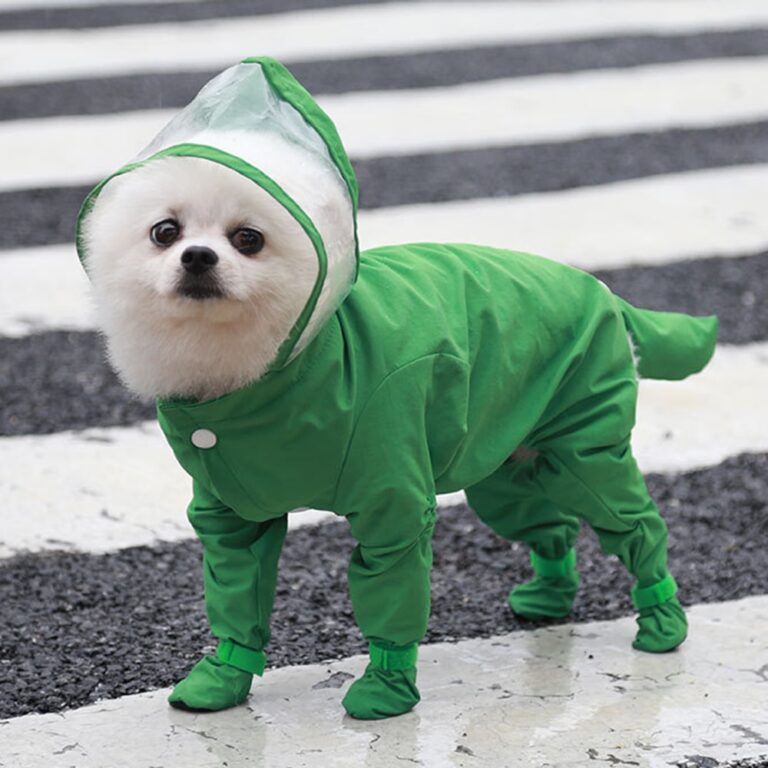Capa De Chuva Para Cachorro De Uma Peça Impermeá