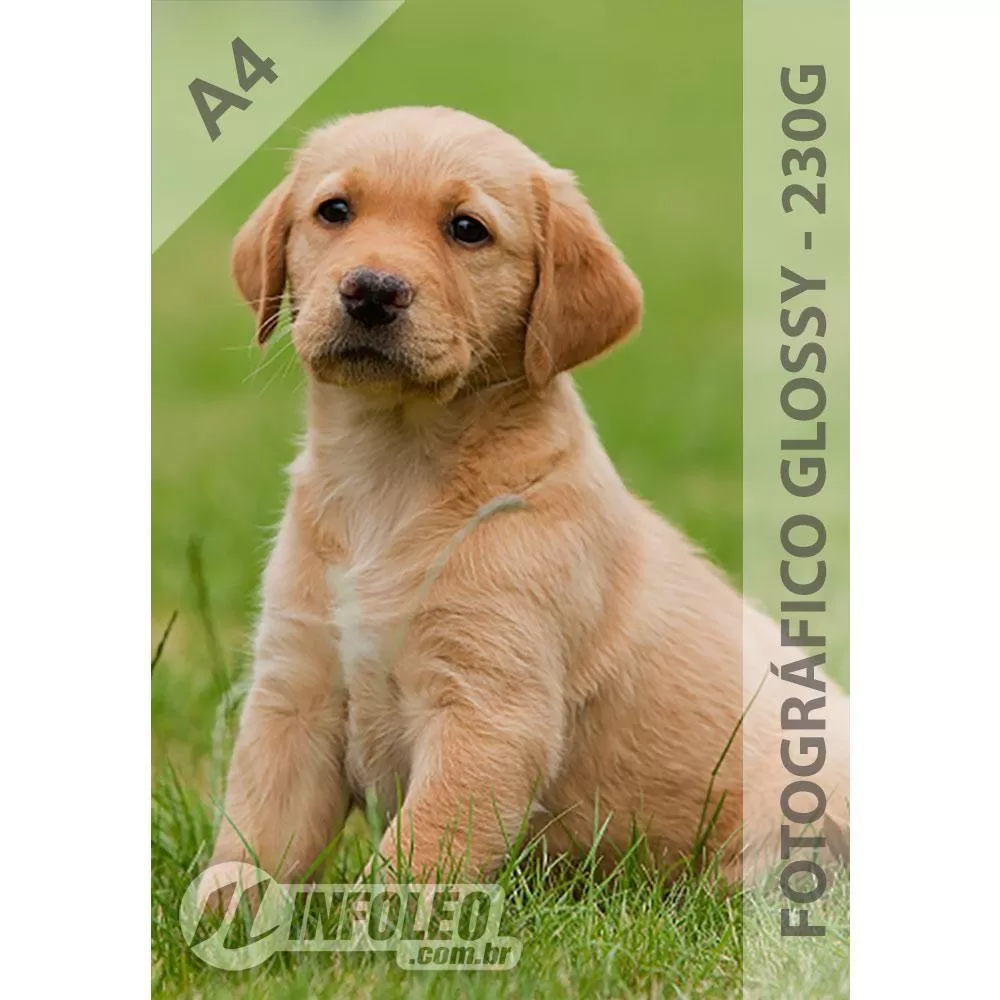 Papel Fotográfico A4 Glossy 230 gramas 20 Folhas