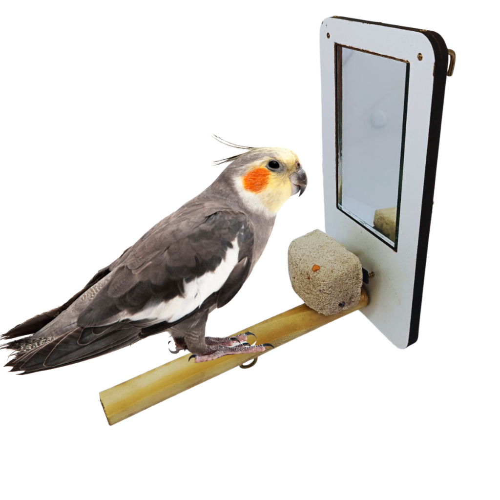 Espelho com Poleiro e Pedra de Cálcio para Gaiola  Ideal para Calopsitas, Periquitos e Agapornis