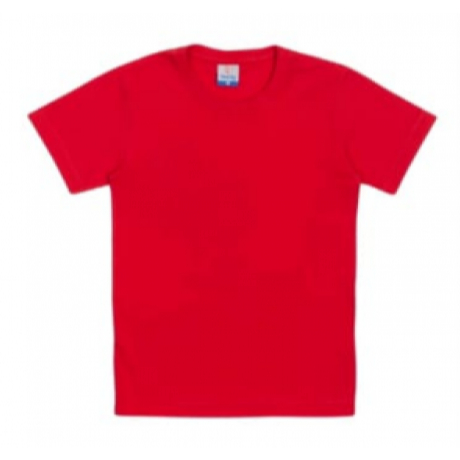 Camiseta infantil menino Verão Teddy 4/8 007