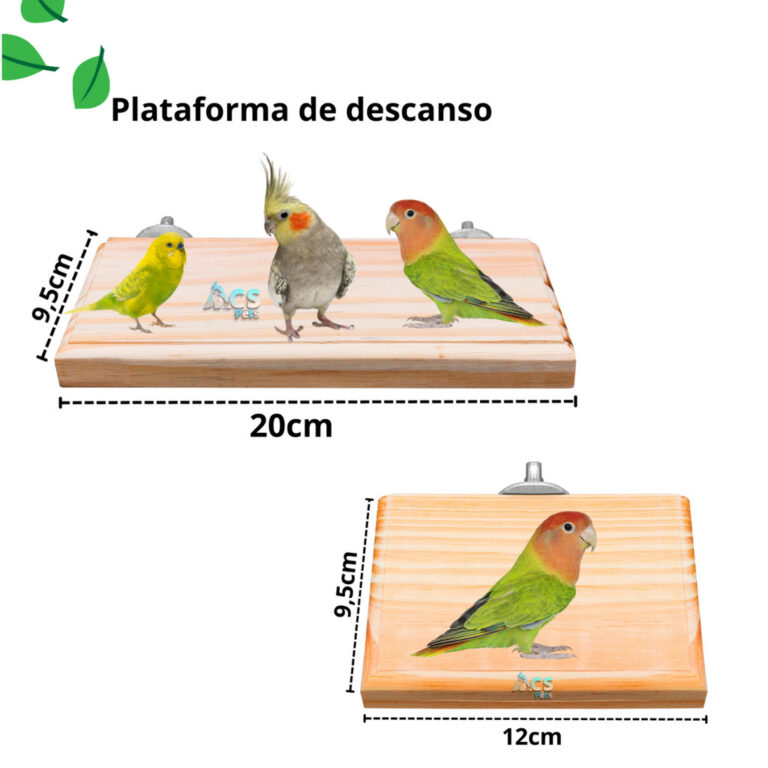 Kit Poleiro Plataforma de descanso Para Calopsita,