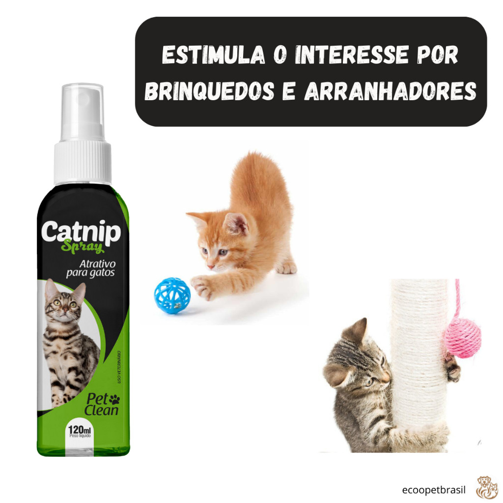 Catnip Pet Clean 120mL – Atrativo para gatos