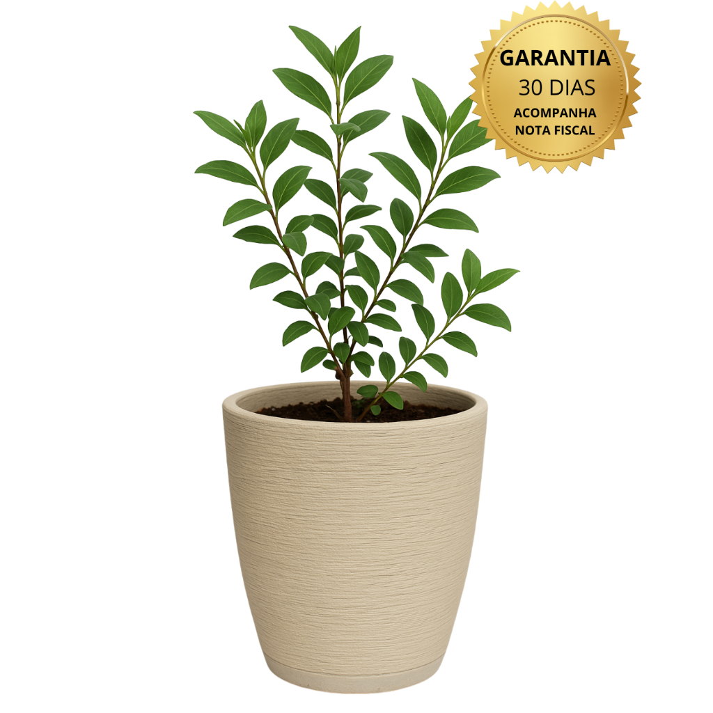 Vaso para Plantas Decorativo em Polietileno Coluna Bojo Escovado C/ Prato Coletor N2