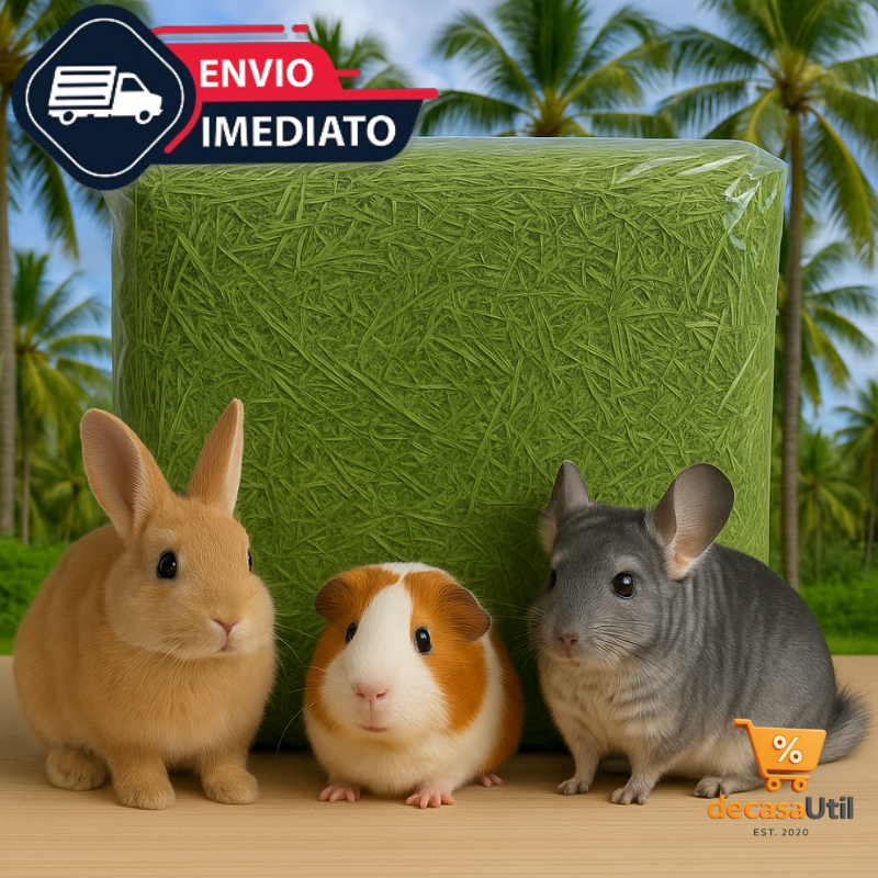 Feno Coast Cross Premium Verdinho Fresquinho Cheirosinho Coelho Porquinho da índia Hamster Chinchila