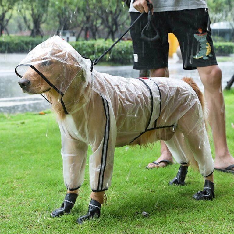 Capa De Chuva Para Cães Grandes Gatos Transparent
