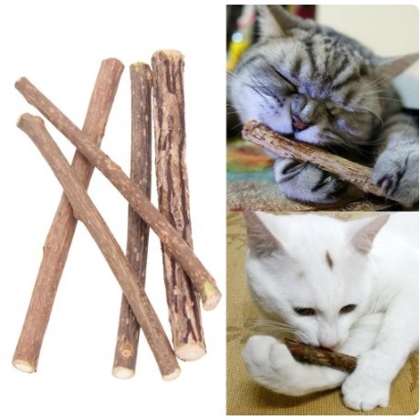 Kits Palitos Matatabi Varas De Catnip Limpa Dentes