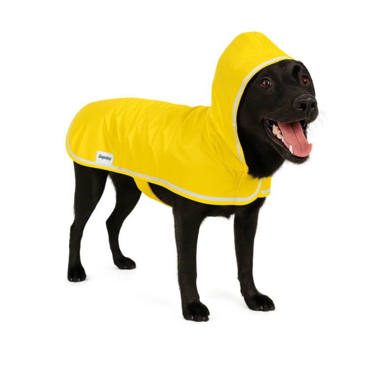 Capa De Chuva Cachorro Pet Grande Capuz Impermeáv