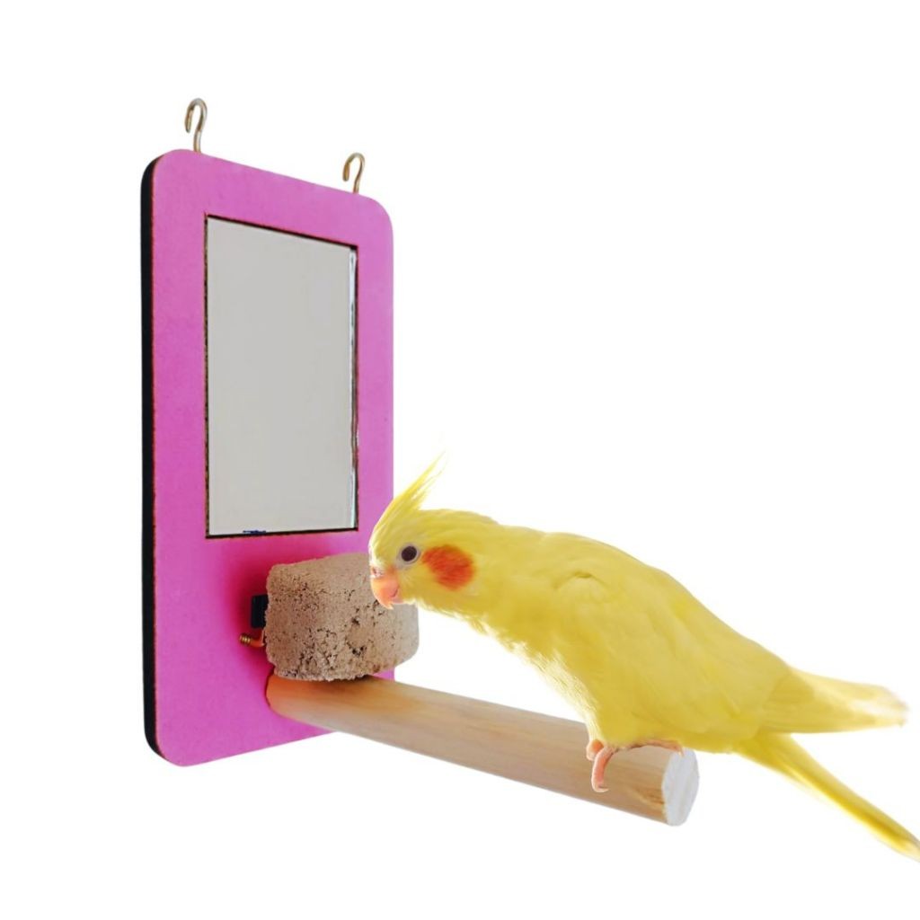Espelho para Calopsitas Periquitos Agapornis Acessório Interativo para Gaiola,Estimulante  Divertido