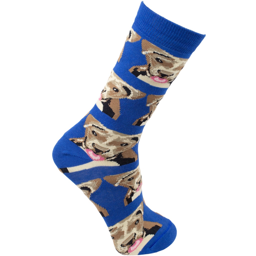 Meia Divertida Cano Longo Vira Lata Oddo Azul Masculina/Feminina