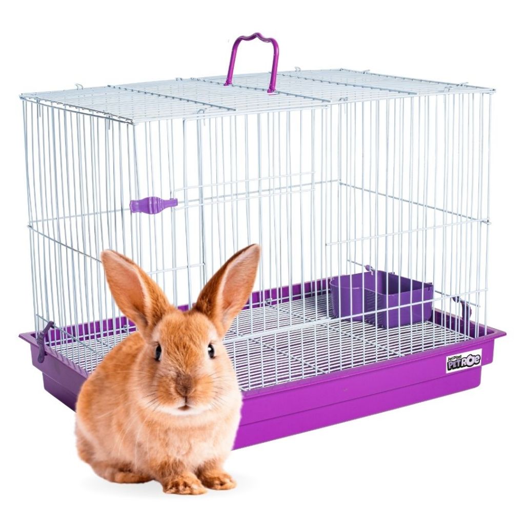 Gaiola Grande Criadouro De Coelho Porquinho Da India Premium