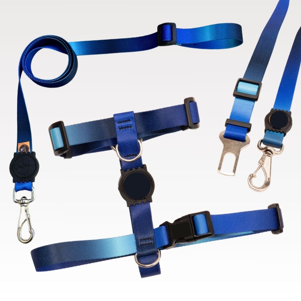 Coleira para Cachorro com cinto de segurança e guia reforçada regulavel Porte Pequeno e Médio