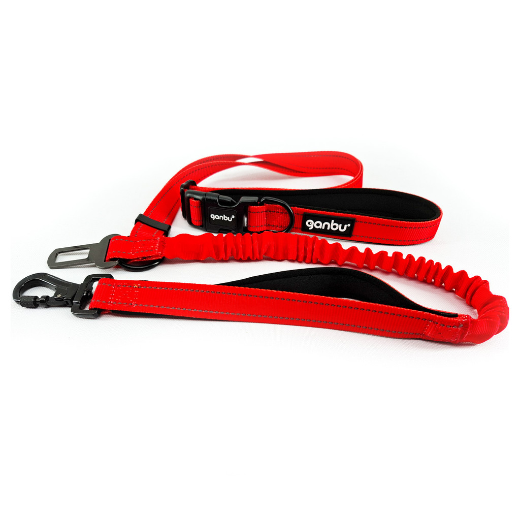 Guia Bungee Com Cinto Preto e Vermelho Ganbu