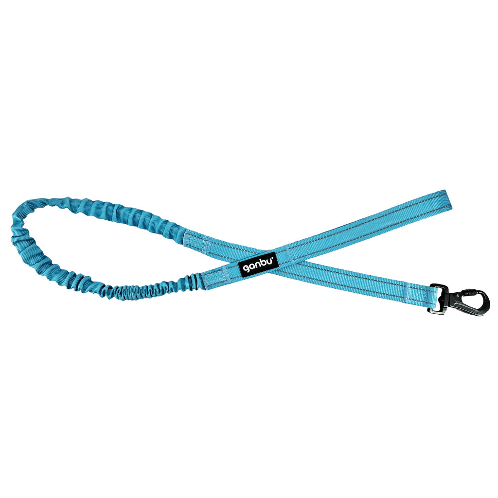 Guia Bungee Jump Azul Ganbu