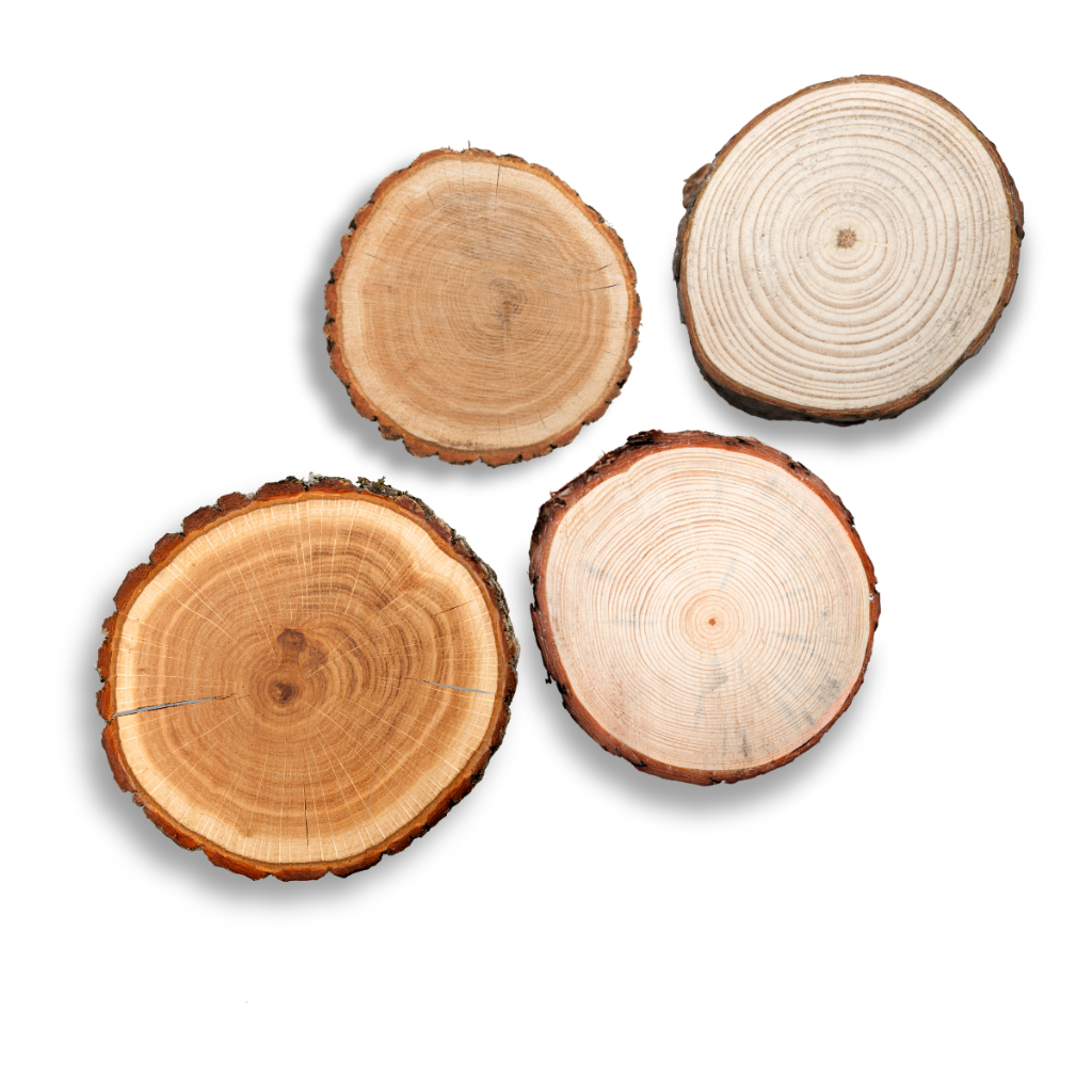 4 Bolachas de Madeira Enriquecimento Ambiental para desgaste de dentes e bicos de aves e roedores