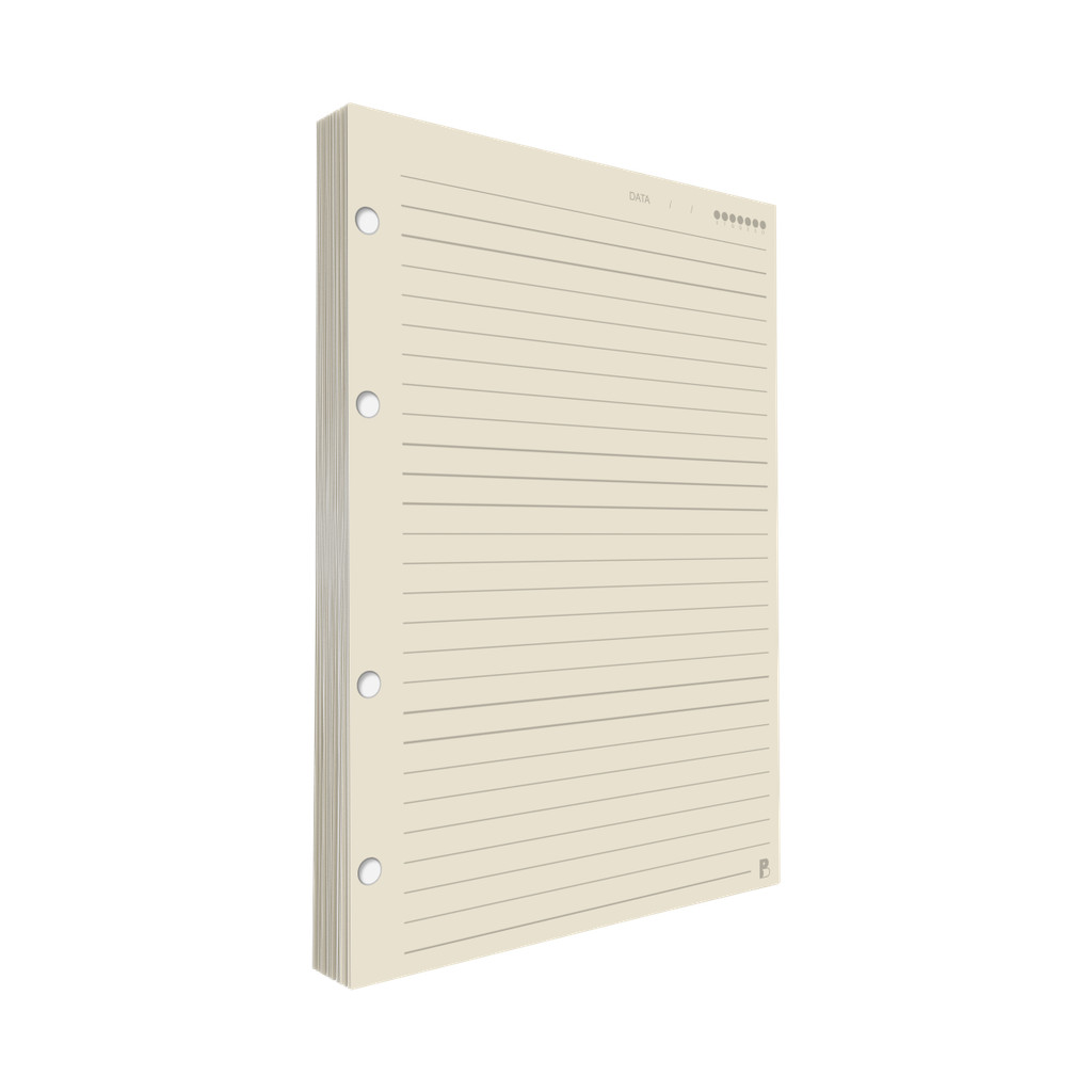 Refil Argolado Pautado 90g 80 folhas Universitário Colegial A5