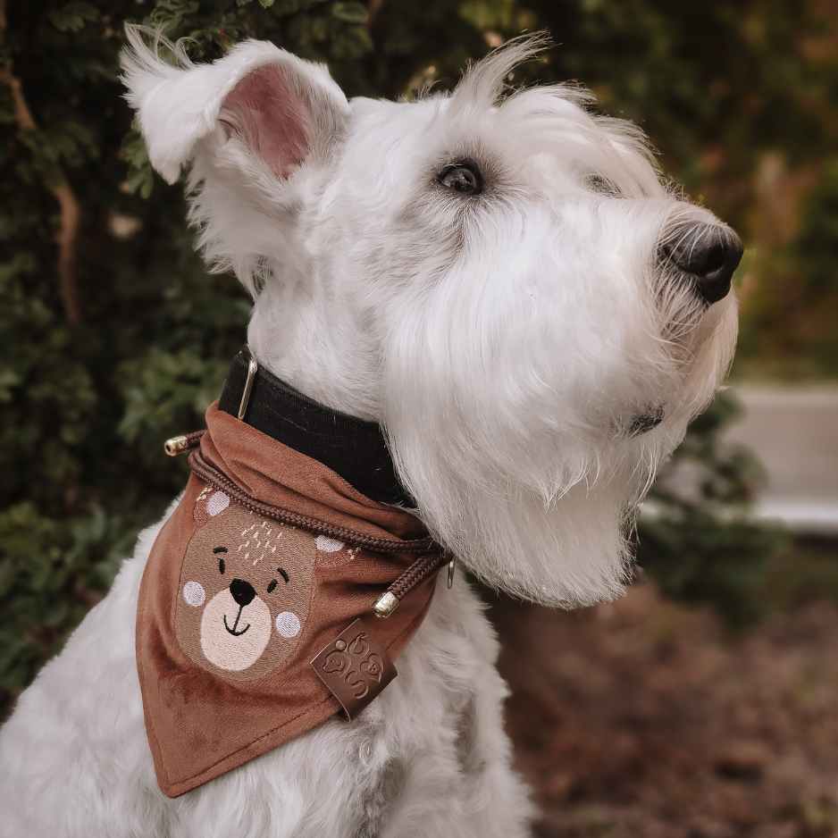 Bandana pet personalizada com BORDADO DE URSO – Vários Tamanhos e cores – Tecido Veludo Premium