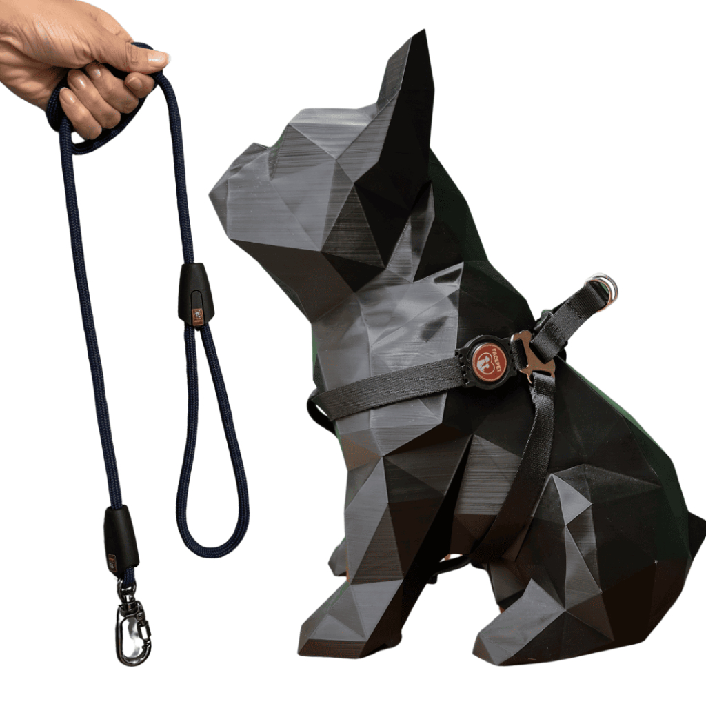 Coleira Peitoral para cães com guia de corda mosquetão trava e rosca não se solta do pet
