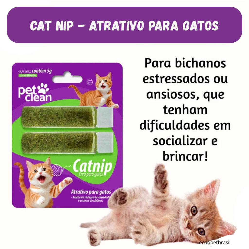 Atrativo para Gatos Gatinhos Erva Catnip Pet Clean