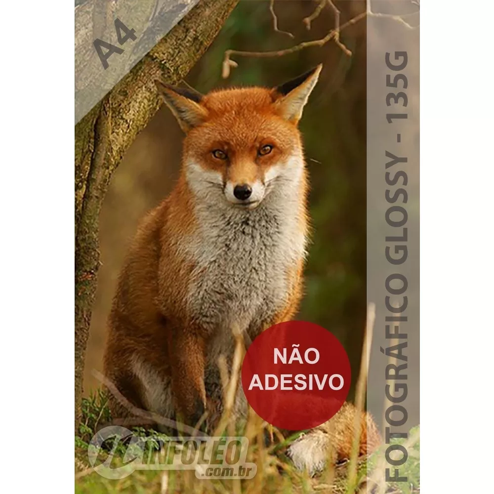 Papel Fotográfico A4 Glossy 135g 50 Folhas
