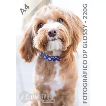 Papel Fotográfico A4 Glossy Dupla Face 220 gramas